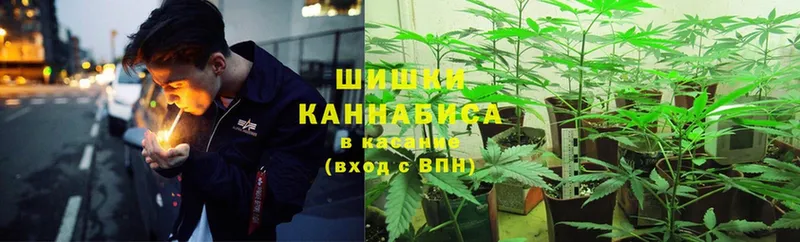 Бошки марихуана THC 21%  закладка  Горнозаводск 